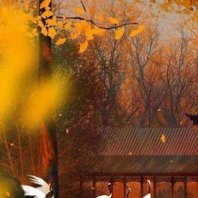 使命枪战官方版手游