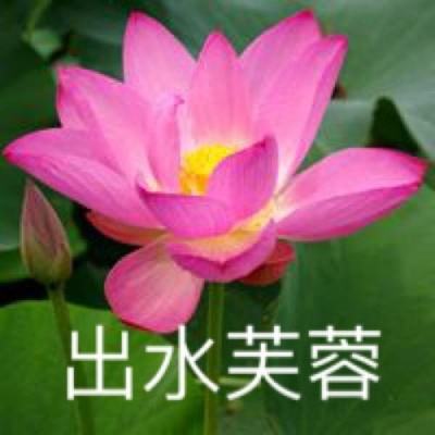 九游混沌起源手游下载